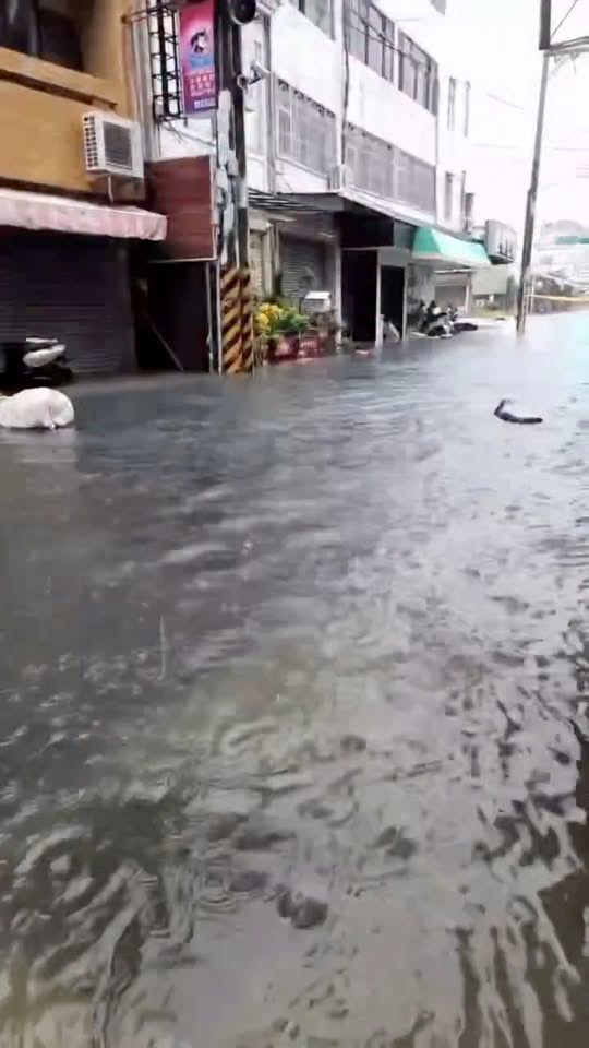 永康區街道積水情形 永康區街道因強降雨造成積水的實際情形